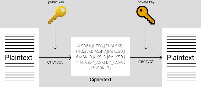 asymmetric cryptography algorithm