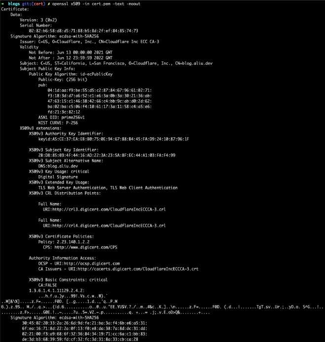 A screenshot of the blog.aliu.dev certificate in a terminal window.